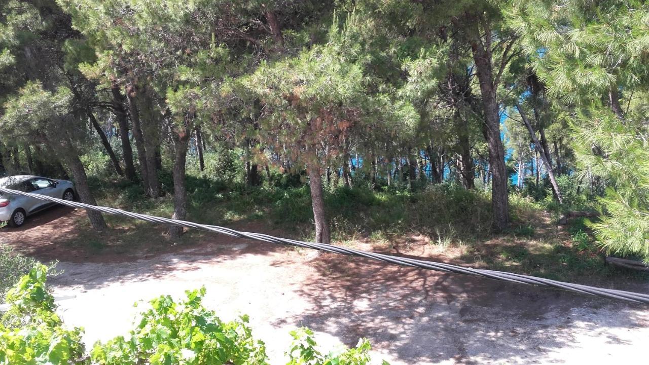 Villa Mateja Donji Okrug  Exterior photo