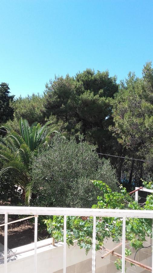 Villa Mateja Donji Okrug  Exterior photo